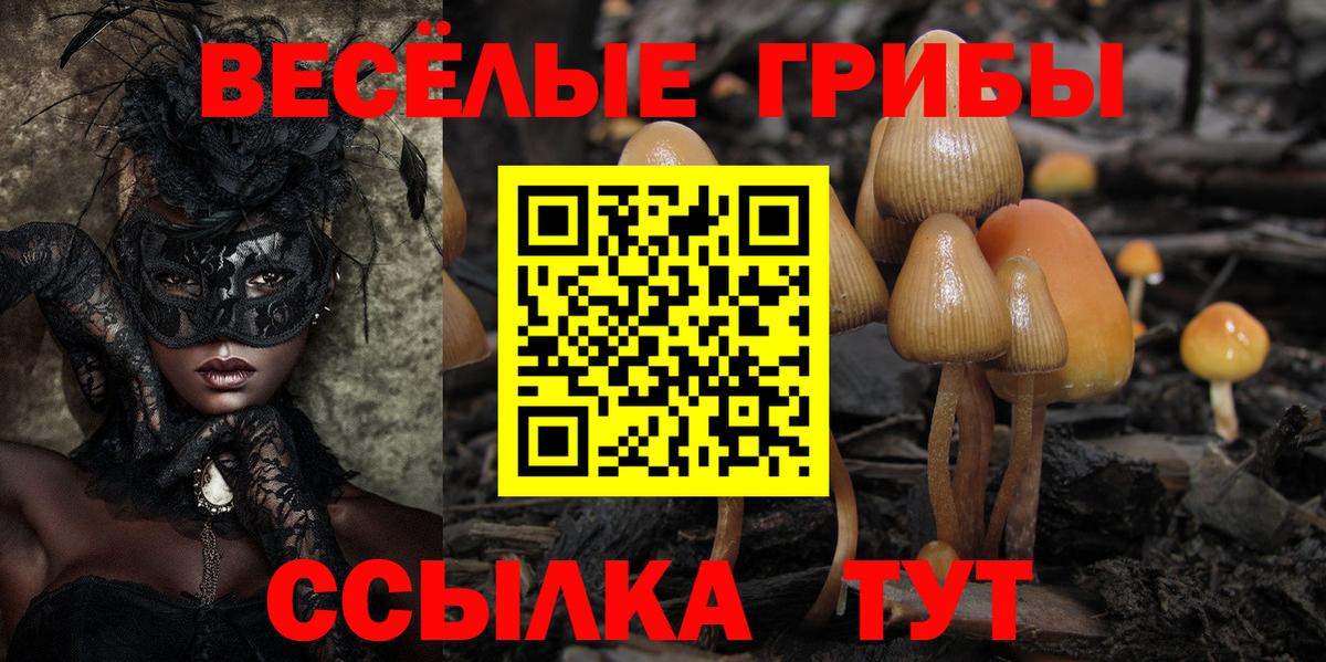 Вятские Поляны  Галлюциногенные грибы Magic Shrooms  купить наркотик  Вход с VPN 